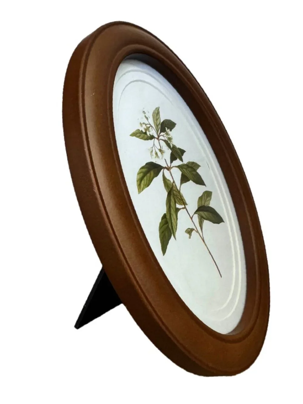 5x7 Oval Double Matte Wood Picture Frame